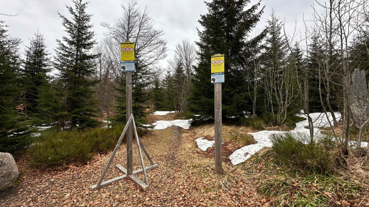 Na tajemnou cestu vedoucí k přechodu Modrý sloup se z německé strany podíváte jen od zákazové cedule. Je uzavřena z důvodu ochrany tetřeva až k přechodu v době od 16. 11. do 14. 7. Z české strany se k tomuto území ze stejného důvodu nedostanete celoročně