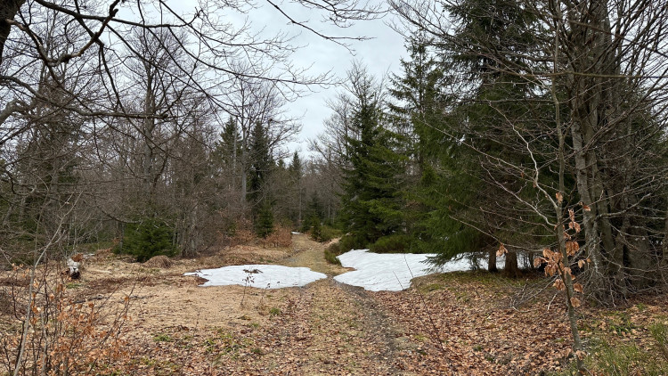 Na tajemnou cestu vedoucí k přechodu Modrý sloup se z německé strany podíváte jen od zákazové cedule. Je uzavřena z důvodu ochrany tetřeva až k přechodu v době od 16. 11. do 14. 7. Z české strany se k tomuto území ze stejného důvodu nedostanete celoročně