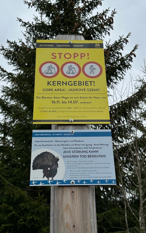 Na tajemnou cestu vedoucí k přechodu Modrý sloup se z německé strany podíváte jen od zákazové cedule. Je uzavřena z důvodu ochrany tetřeva až k přechodu v době od 16. 11. do 14. 7. Z české strany se k tomuto území ze stejného důvodu nedostanete celoročně