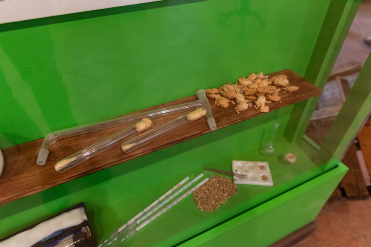 FOTOGALERIE: Od bednářství až k robotickému ramenu. Pivovar Holba představuje své dějiny i současný provoz