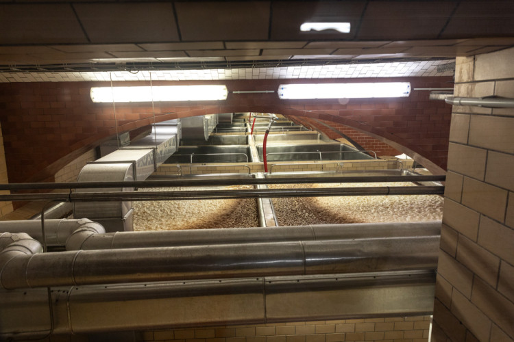 FOTOGALERIE: Od bednářství až k robotickému ramenu. Pivovar Holba představuje své dějiny i současný provoz