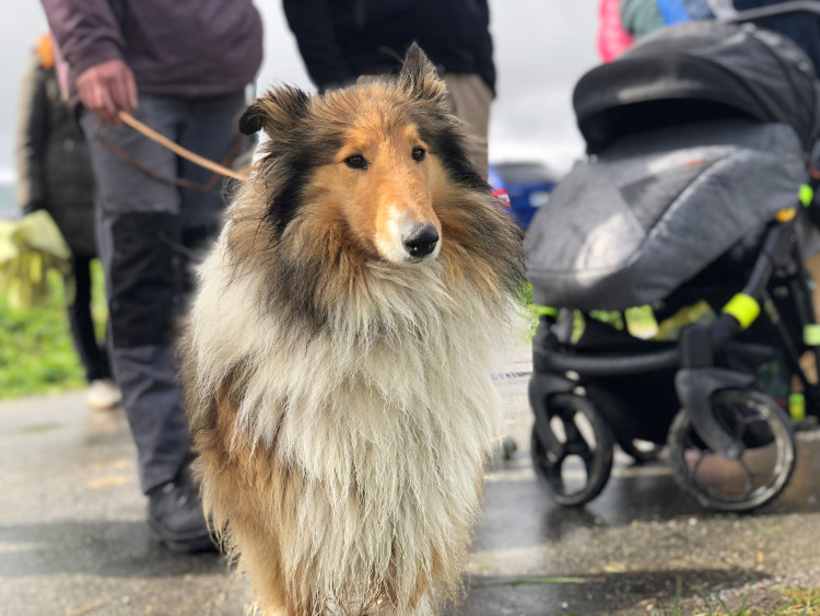 Den proti úložišti 2024, lokalita Hrádek