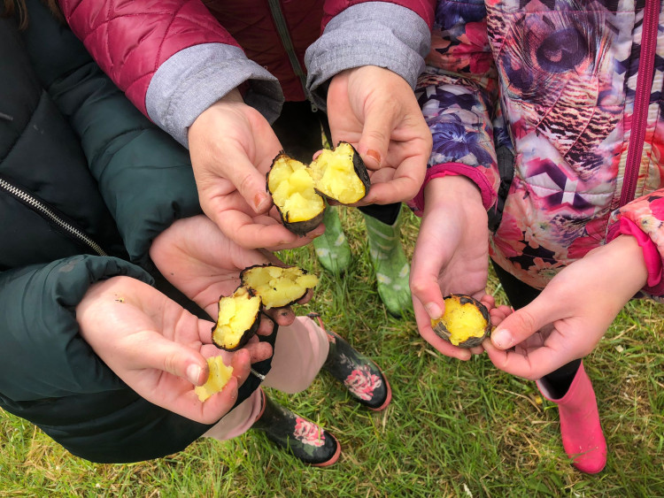 Den proti úložišti 2024, lokalita Hrádek