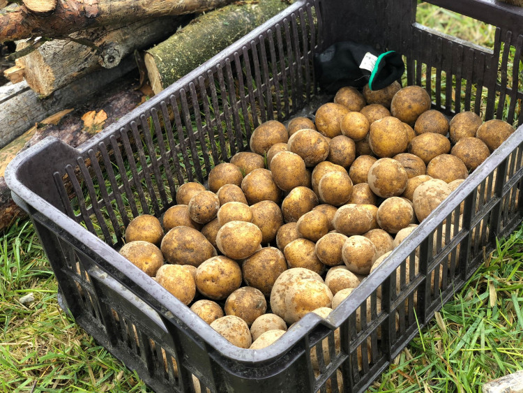 Den proti úložišti 2024, lokalita Hrádek