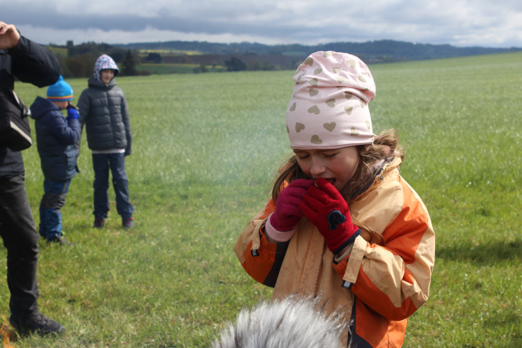 Den proti úložišti 2024, lokalita Hrádek
