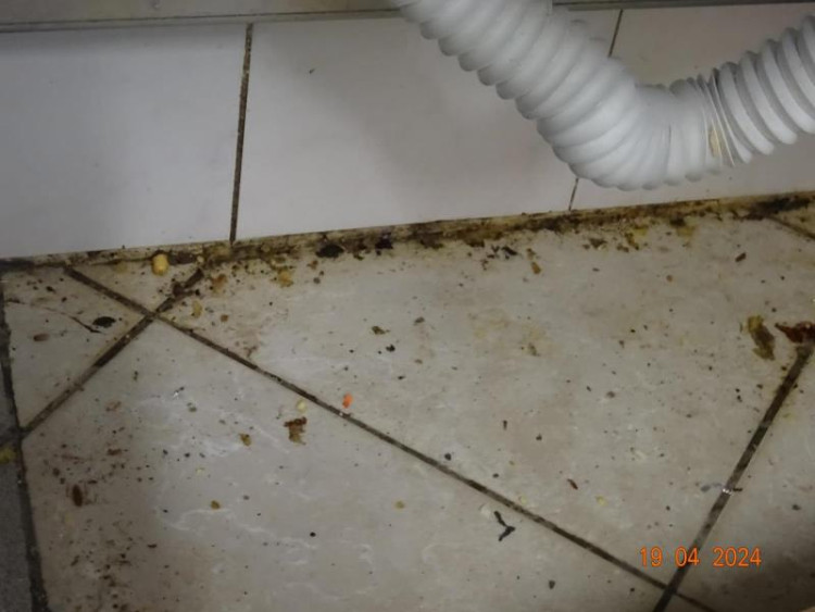 Špína a švábi všude. Inspekce zavřela indické bistro v Budějcích