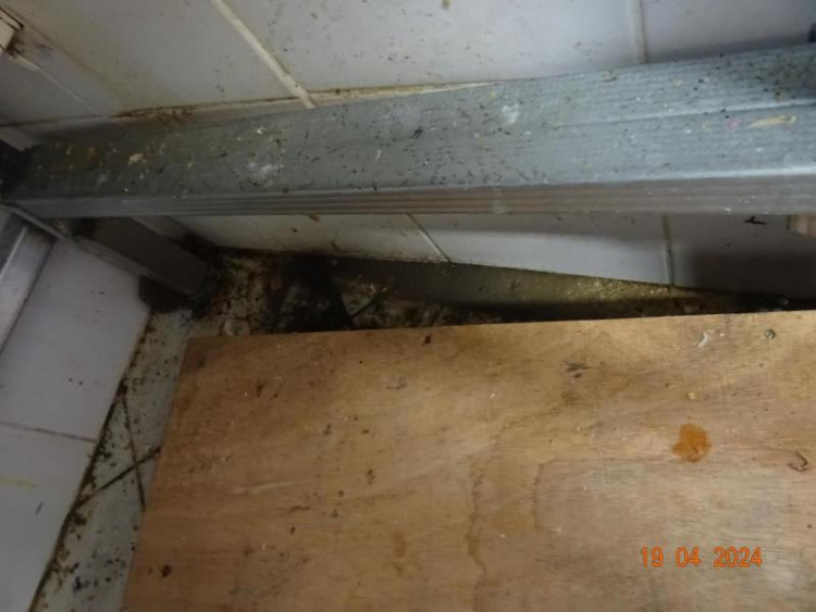 Špína a švábi všude. Inspekce zavřela indické bistro v Budějcích