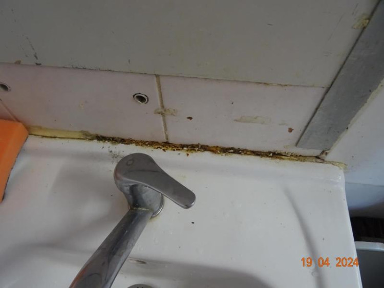 Špína a švábi všude. Inspekce zavřela indické bistro v Budějcích