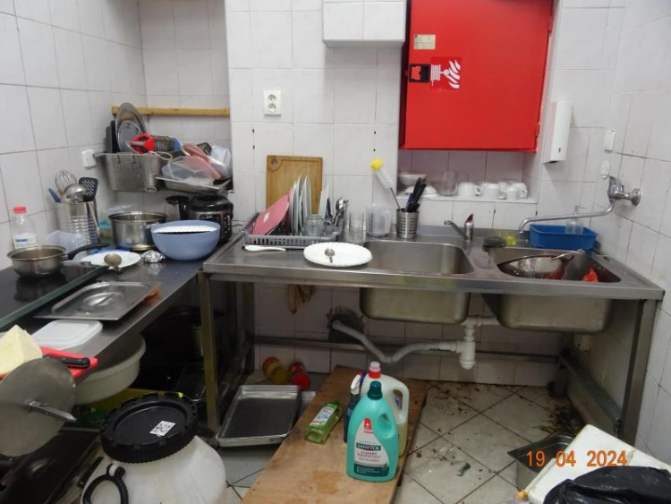 Špína a švábi všude. Inspekce zavřela indické bistro v Budějcích