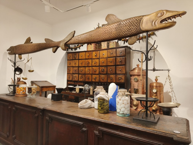 FOTOGALERIE: Národopisné muzeum se pyšní novými prostory i zbrusu novou expozicí