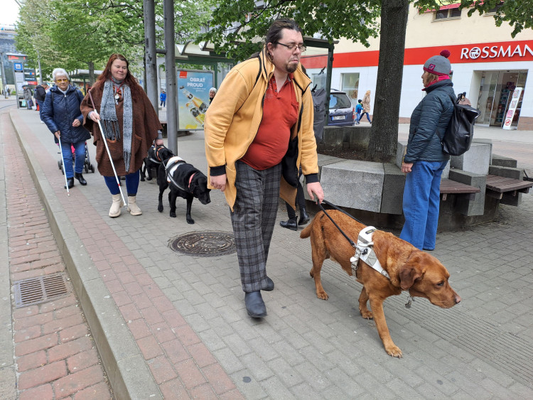 Vodicí psi v ulicích Liberce