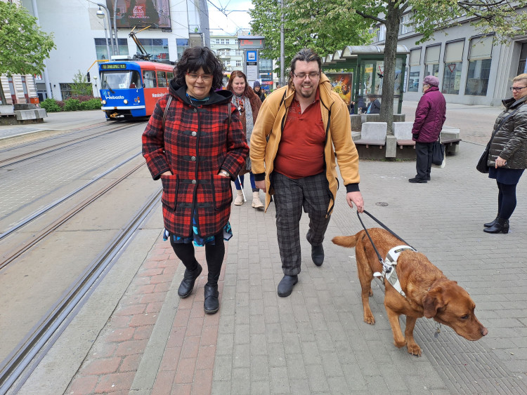 Vodicí psi v ulicích Liberce