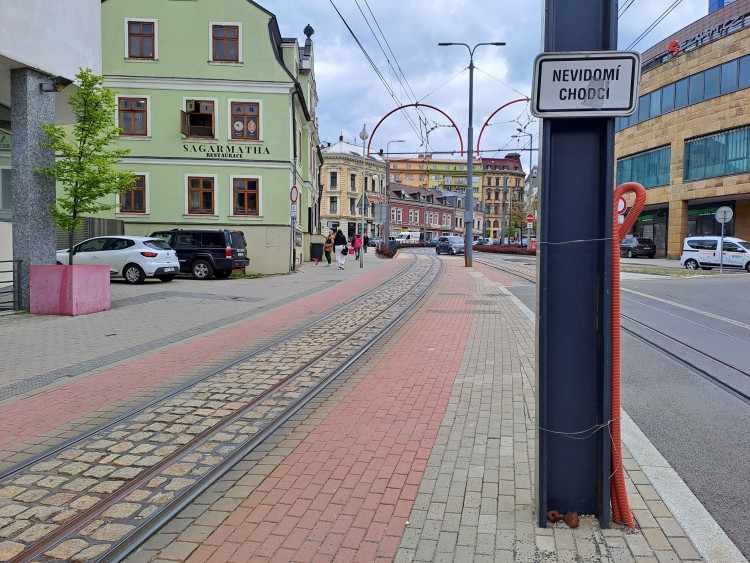 Vodicí psi v ulicích Liberce