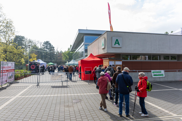 FOTOGALERIE: Galaxie květin se otevřela návštěvníkům, jarní Flora v Olomouc láká davy