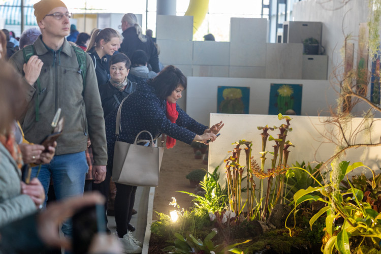 FOTOGALERIE: Galaxie květin se otevřela návštěvníkům, jarní Flora v Olomouc láká davy