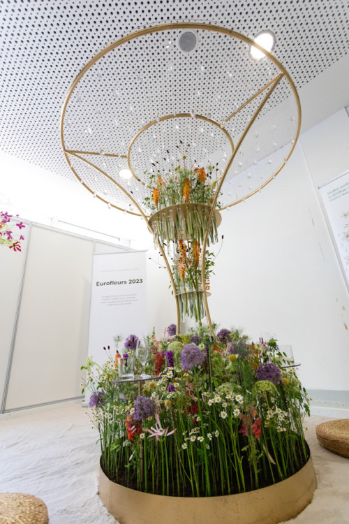 FOTOGALERIE: Galaxie květin se otevřela návštěvníkům, jarní Flora v Olomouc láká davy