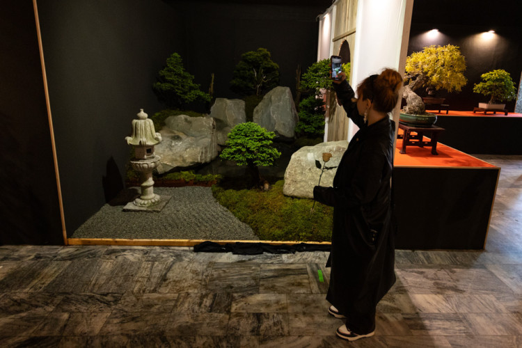 FOTOGALERIE: Galaxie květin se otevřela návštěvníkům, jarní Flora v Olomouc láká davy