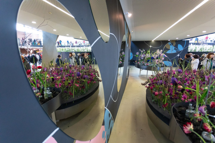 FOTOGALERIE: Galaxie květin se otevřela návštěvníkům, jarní Flora v Olomouc láká davy