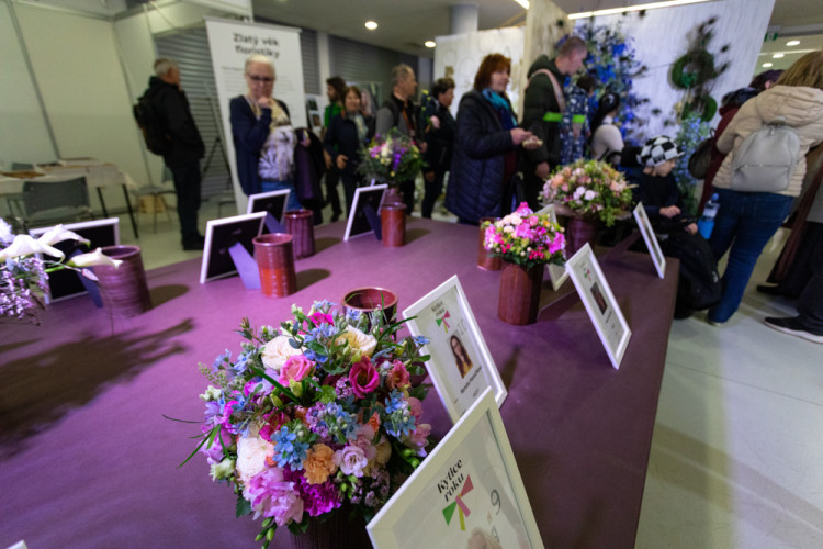 FOTOGALERIE: Galaxie květin se otevřela návštěvníkům, jarní Flora v Olomouc láká davy