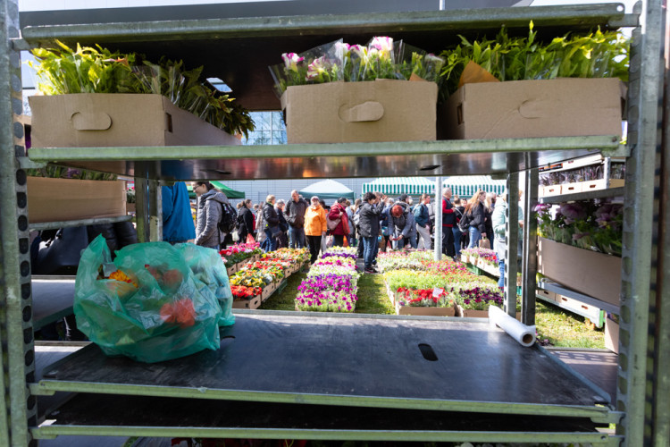 FOTOGALERIE: Galaxie květin se otevřela návštěvníkům, jarní Flora v Olomouc láká davy