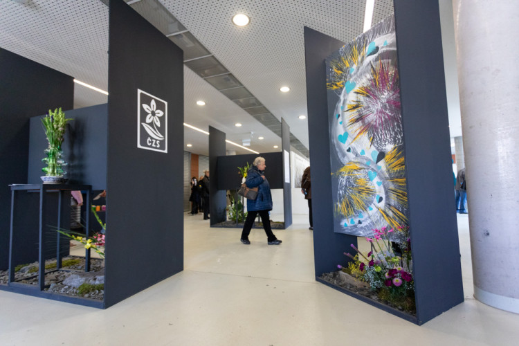 FOTOGALERIE: Galaxie květin se otevřela návštěvníkům, jarní Flora v Olomouc láká davy