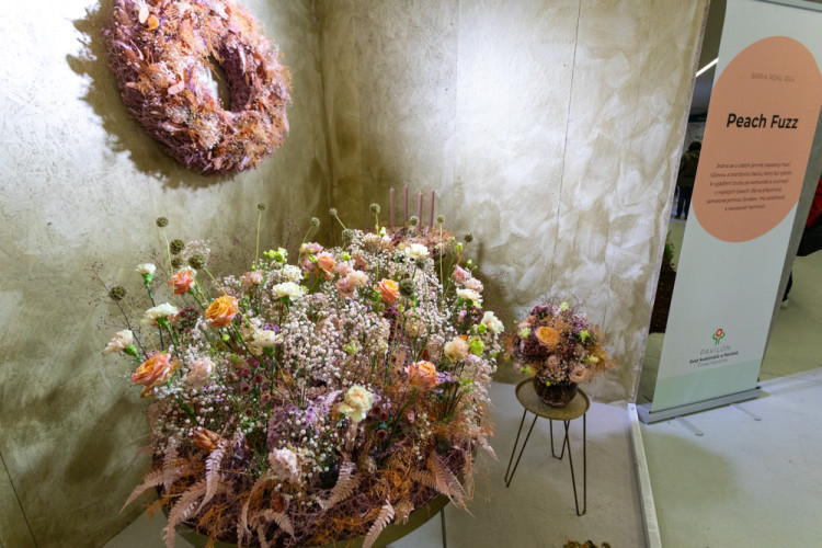 FOTOGALERIE: Galaxie květin se otevřela návštěvníkům, jarní Flora v Olomouc láká davy