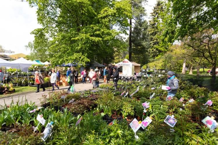 FOTOGALERIE: Galaxie květin se otevřela návštěvníkům, jarní Flora v Olomouc láká davy