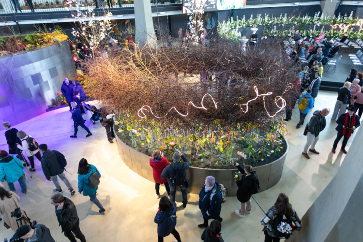 FOTOGALERIE: Galaxie květin se otevřela návštěvníkům, jarní Flora v Olomouc láká davy