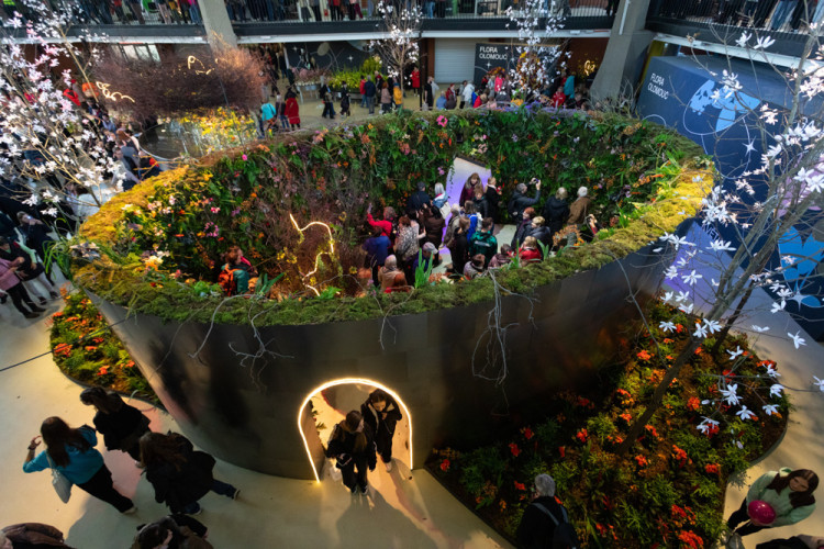 FOTOGALERIE: Galaxie květin se otevřela návštěvníkům, jarní Flora v Olomouc láká davy