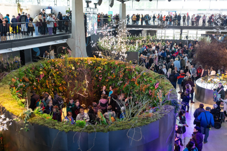 FOTOGALERIE: Galaxie květin se otevřela návštěvníkům, jarní Flora v Olomouc láká davy