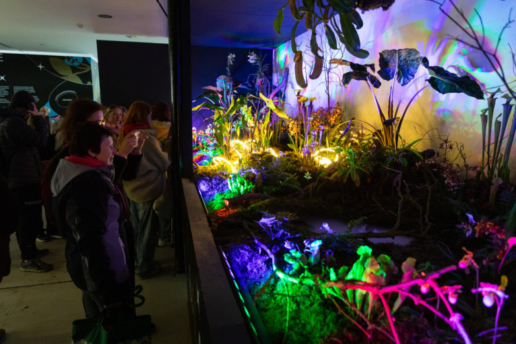 FOTOGALERIE: Galaxie květin se otevřela návštěvníkům, jarní Flora v Olomouc láká davy