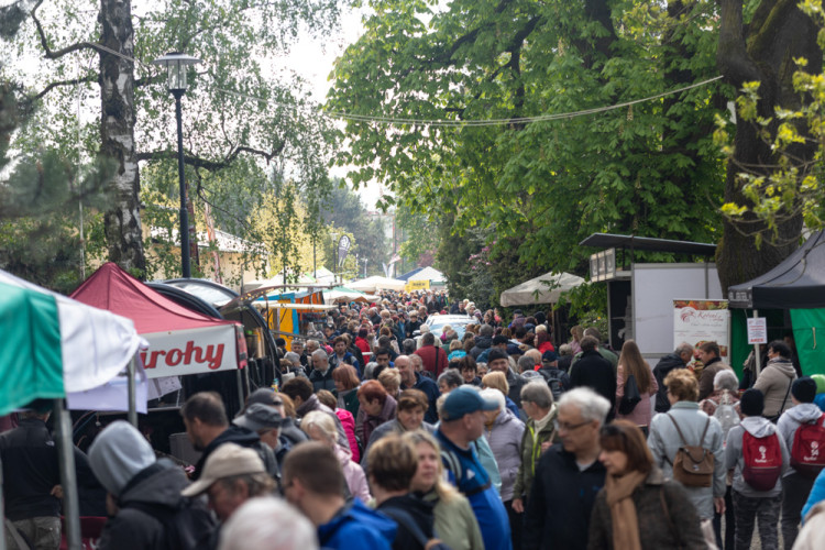 FOTOGALERIE: Galaxie květin se otevřela návštěvníkům, jarní Flora v Olomouc láká davy
