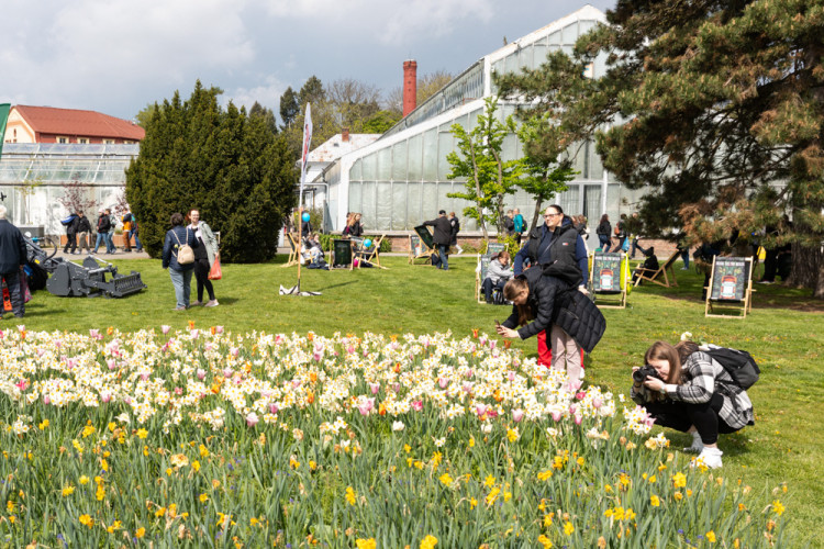 FOTOGALERIE: Galaxie květin se otevřela návštěvníkům, jarní Flora v Olomouc láká davy