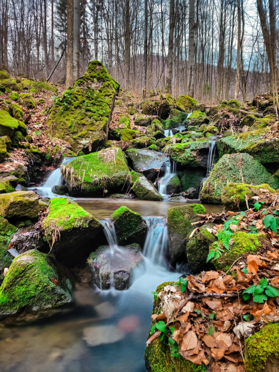 FOTOGALERIE: Osvěžující jarní procházka v srdci Hostýnských vrchů