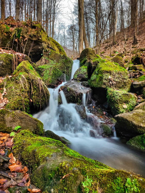FOTOGALERIE: Osvěžující jarní procházka v srdci Hostýnských vrchů
