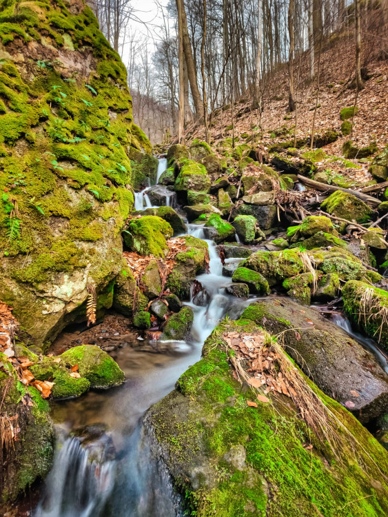 FOTOGALERIE: Osvěžující jarní procházka v srdci Hostýnských vrchů