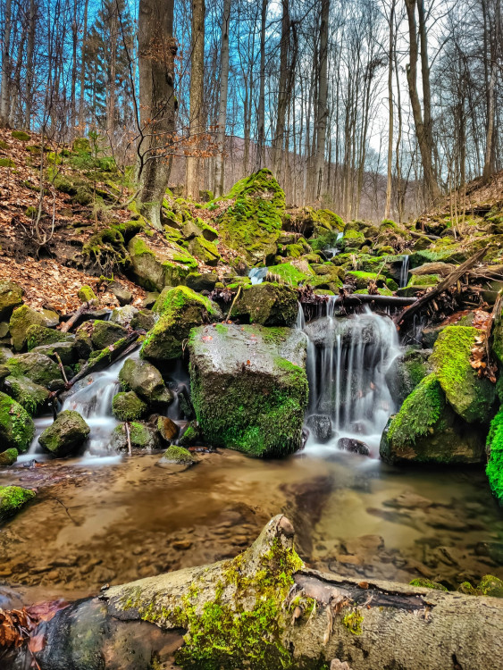 FOTOGALERIE: Osvěžující jarní procházka v srdci Hostýnských vrchů