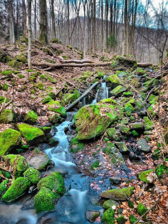 FOTOGALERIE: Osvěžující jarní procházka v srdci Hostýnských vrchů