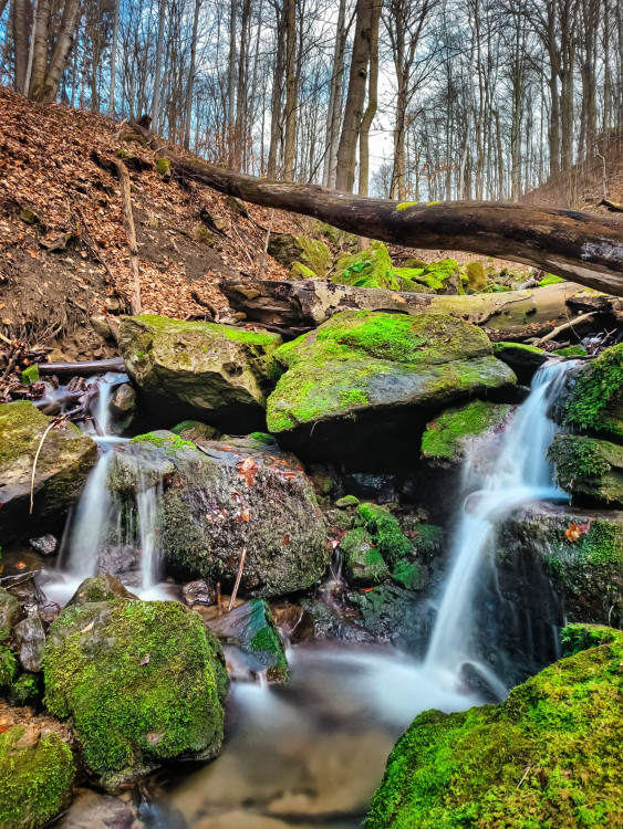 FOTOGALERIE: Osvěžující jarní procházka v srdci Hostýnských vrchů