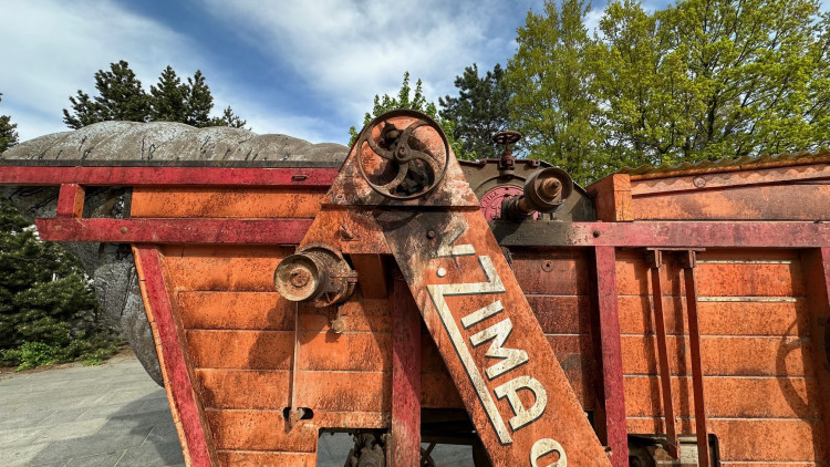 FOTOGALERIE: Sochy v ulicích 2024