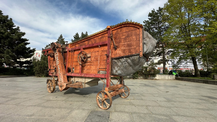 FOTOGALERIE: Sochy v ulicích 2024