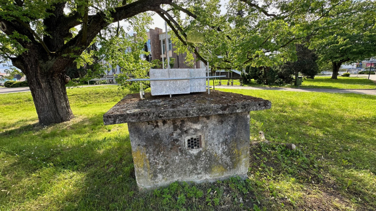 FOTOGALERIE: Sochy v ulicích 2024