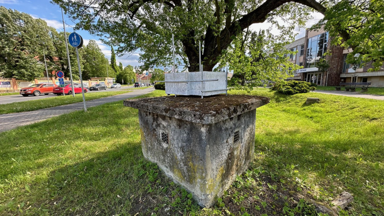 FOTOGALERIE: Sochy v ulicích 2024