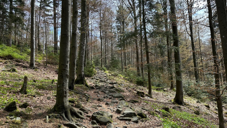 Cesta k vrcholku Hoher Bogen je místy náročnější