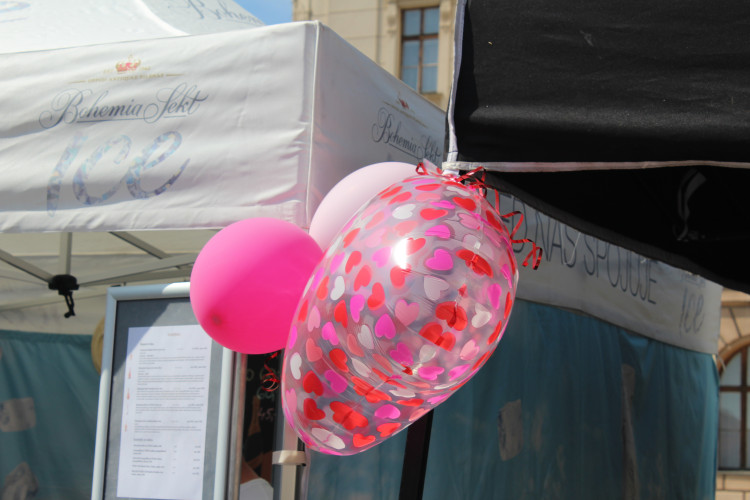 Májové slavnosti se zaplétáním máje v Jihlavě