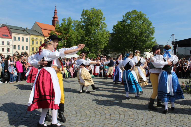 Májové slavnosti se zaplétáním máje v Jihlavě