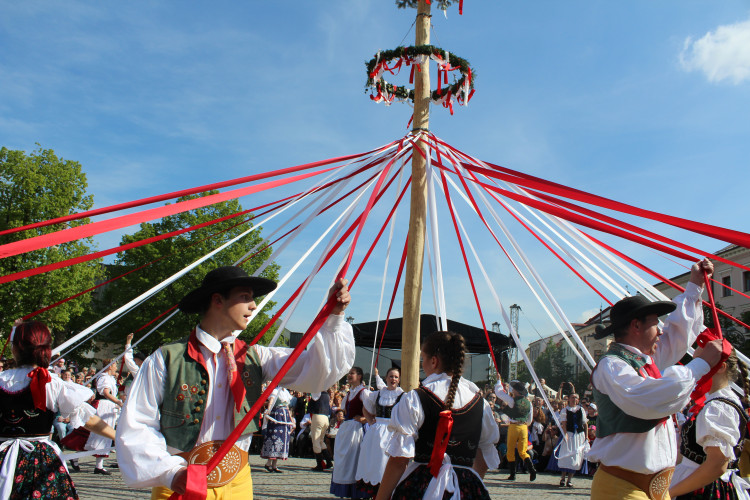 Májové slavnosti se zaplétáním máje v Jihlavě