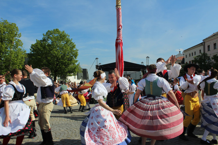 Májové slavnosti se zaplétáním máje v Jihlavě