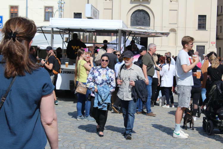 Májové slavnosti se zaplétáním máje v Jihlavě