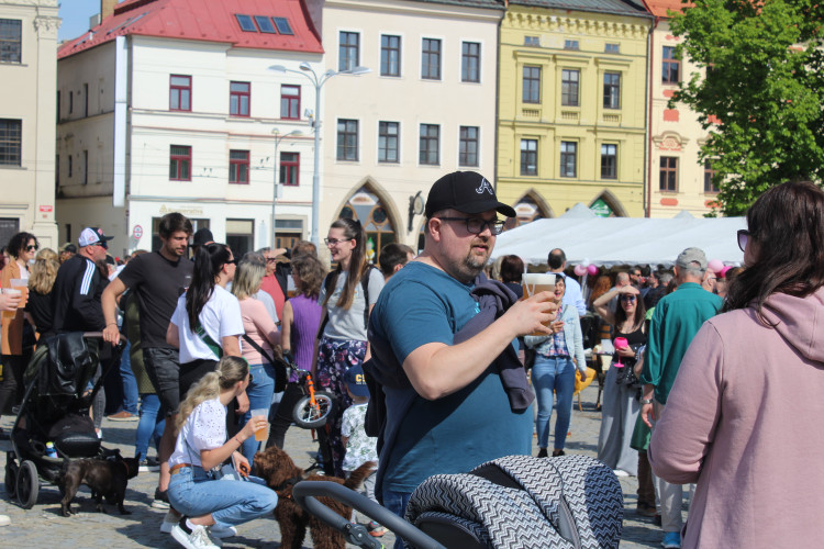 Májové slavnosti se zaplétáním máje v Jihlavě